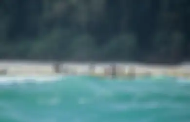 Berada Tak Jauh dari Ujung Barat Indonesia, Pulau ini Sangat Sulit Dikunjungi, Berisi Suku Paling 'Berbahaya' di Dunia