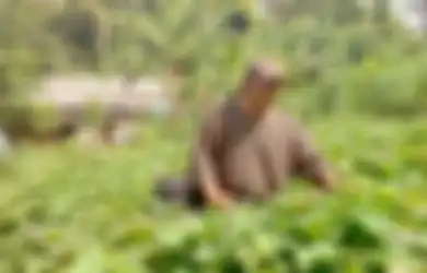 Terjerat Narkoba dan Skandal dengan Wanita,  Aktor Ini Jatuh Miskin dan Tak Punya Apa-apa Hingga Buat Makan Saja Harus Ngutang 