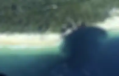 Lubang Besar Terlihat Menelan Daratan di Pantai Queensland, Apa yang Terjadi?