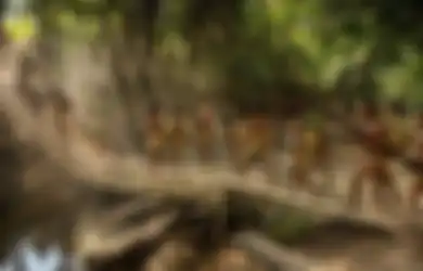 Kehidupan Primitif Suku Asli Amazon Terungkap Lewat Foto-foto Ini, Sungguh Menakjubkan