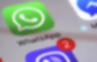 Cara Unduh Status WhatsApp Orang Lain Tanpa Aplikasi dan Pakai Aplikasi, Banyak yang Unik dan Lucu Loh!