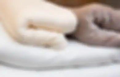 Selimut Ini Bisa Redakan Stres di Masa Pandemi, Begini Wujud Benda Dekoratif yang Viral dengan Berat 11 Kilogram