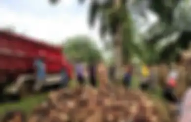 5 Sosok Orang Terkaya di Indonesia Berkat Sawit, Termasuk Bos Mie Instan