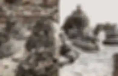 Viral Foto Lawas Borobudur: Seperti Inilah Kondisi Borobudur saat Pertama Kali Ditemukan, Menyedihkan 