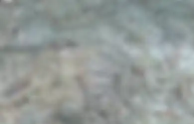 Harganya Capai Rp 17 Juta per Kilo, Nyatanya Makanan Berlendir Ini Dulunya Pakan Ayam dan Babi, Sekarang Hanya Orang Kaya yang Mampu Beli