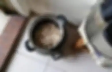 Nyaris Tewas, Pria Ini Digrebek Polisi Usai Nekat Bawa Pulang Sekantong Usus Ayam