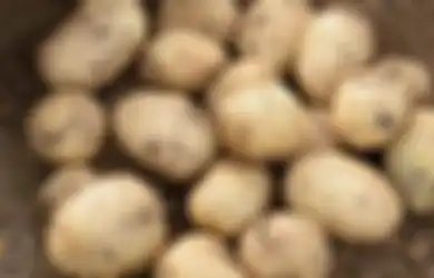 Jangan Simpan Kentang di Lemari Es karena Bisa Tingkatkan Risiko Kanker, Begini Penjelasannya