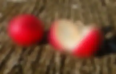 Inilah Wujud Buah  Dimakan Bapak Mati Tidak Dimakan Ibu Mati