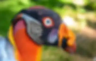 4 Spesies Burung Unik yang Sering Disebut 'Alien', Salah Satunya Hidup di Indonesia