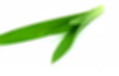 Iris Tipis 3-5 Lembar Daun Pandan di Kamar Mandi, Ajaib, Ini yang Akan Terjadi!