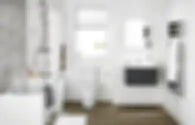 Begini Cara Atasi Toilet  Seluas 3 Meter yang Terasa Pengap dan Jorok!