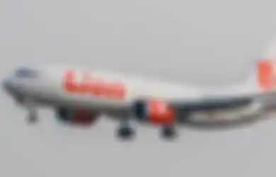 Kisah Satu Keluarga yang Jadi Korban Lion Air JT 610: Suami Ambil Cuti untuk Antar Istri dan Bayinya Pulang