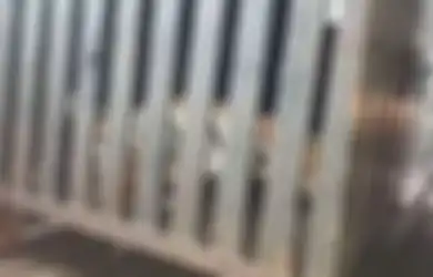 Diklaim Tewaskan 13 Orang dan Membuat Takut Warga, Harimau Betina ini Ditembak Mati 