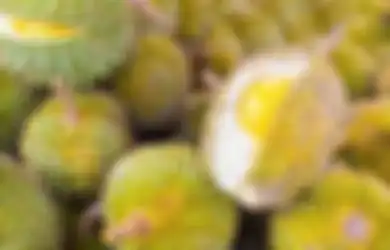 Durian Ternyata Bisa Jadi Solusi Untuk Hamil, Tapi Kapan Waktu yang Tepat Memakannya?