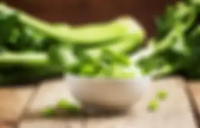 Ini Dia 5 Manfaat Daun Seledri Untuk Wajah yang Jarang Diketahui