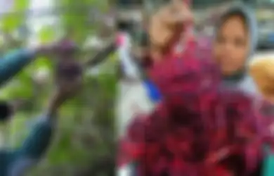 Ingin Cepat Punya Anak? Coba Konsumsi Buah Parijoto,  Warisan Sunan Muria yang Dipercaya Tingkatkan Kesuburan