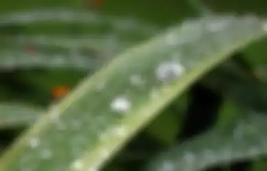 Rezeki Bakal Terus Mengalir Bak Air Terjun, Coba Amalkan Bacaan Doa Pagi Ini Secara Rutin