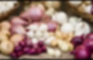 Dianggap Bisa Bikin Awet, Nyatanya Hal Buruk Ini yang Terjadi Jika Menyimpan Bawang Merah dan Bawang Putih di Kulkas