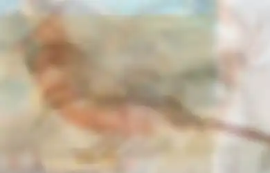 Tes Kepribadian: Gambar yang Pertama Dilihat Ungkap Kelebihan Terpendammu Selama ini