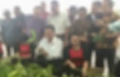 Kementan Dorong Ekspor Lidah Mertua yang Bernilai Miliaran per Tahun, Inilah 12 Manfaat Lidah Mertua