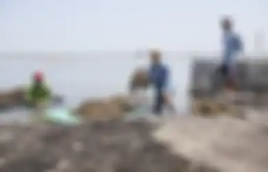 Memotret Sosok-Sosok Inspiratif di Pantura (1): Garap Rumput Laut Untuk Jadi Bandeng