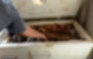 Menghilang Selama 1 Tahun, Ibu dua Anak Ini Ditemukan di Dalam Kulkas