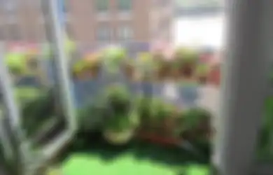 Bikin Kompos Sendiri, Bisa! Ini yang Harus Disiapkan untuk Berkebun di Rumah