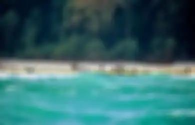 Apakah Hal Ini yang Menjadikan Suku Kuno di Pulau Sentinel Trauma kepada Orang Asing?