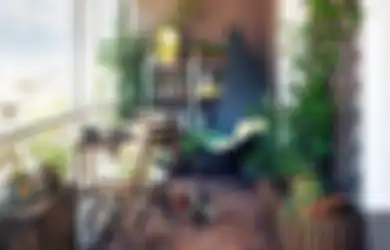 Berkebun di Balkon, Ini Jenis Tanaman yang Mesti  Kamu Pilih