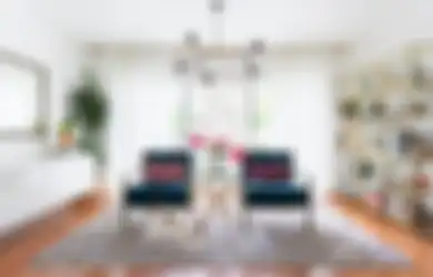Pelihara Hewan di Rumah? Lakukan Hal Berikut agar Rumah Tetap Sehat