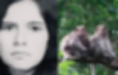 Kisah Pilu Marina Chapman; Saat Balita Dibuang ke Hutan Lalu Dirawat Kawanan Kera, Sayang Harus Berakhir Seperti Ini di Tangan Pemburu yang Menyelamatkannya