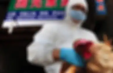 Peringatan! Korea Selatan Kini Dihantam Kembali dengan Flu Burung yang Sangat Patogen dari Burung Liar, Dapat Menular dengan Berbagai Cara