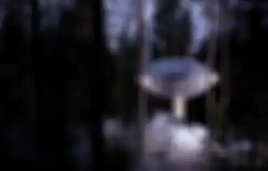 Hotel Unik Di Tengah Hutan, Bak Menginap di Pesawat Luar Angkasa