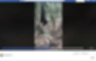 Ribuan Kelelawar Mati Di Halaman Rumah Perempuan ini, Ternyata ini Penyebabnya!