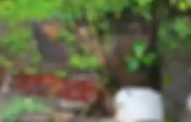 Darah Mengalir dari Rumah Kosong yang Terbengkalai, Terungkaplah Sebuah 'Misteri Mengerikan' yang Pernah Terjadi di Rumah Tersebut