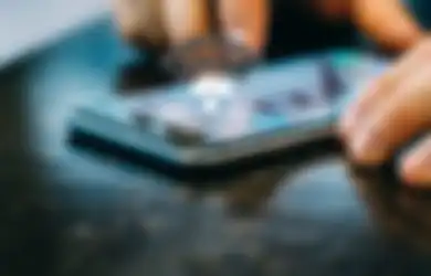 Ikan Hiu Gigit Kabel Telkom Bikin Internet Down? Ini Faktanya!