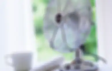 Tak Boleh Disepelekan Bisa Renggut Nyawa, Ini Dia 6 Penyebab Bau di Rumah  yang Berbahaya