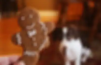 Mengapa Kue Jahe yang Berbentuk Pria Selalu Ada di Hari Natal? Ternyata Begini Sejarahnya