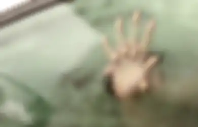 Nekat Ajak Anak Kandung Tonton Persetubuhan dengan Suami, Alasan Ibu Ini Mengejutkan, Ternyata Diancam Sosok Ini