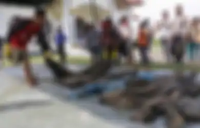 Gali Lubang untuk Septic Tank, Pekerja Ini Malah 'Bongkar' Kuburan Massal 45 Jenazah Korban Tsunami Aceh 14 Tahun Lalu