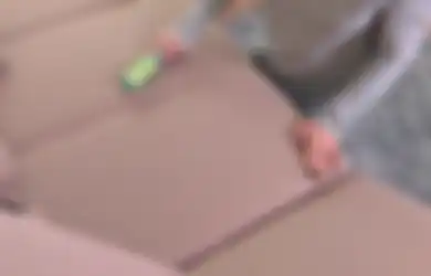 Cuma Satu Menit, Sofa dan Karpet Bebas Bulu Hewan dengan Alat Ini