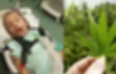 Menderita Kejang 300 Kali Sehari, Nasib Gadis 9 Tahun Ini Berubah Lebih Baik Setelah Mengenal Ganja