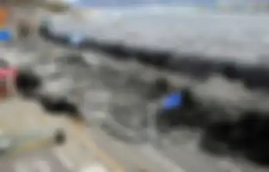 Pantai Selatan Jatim Berpotensi Diguncang Gempa Dahsyat dan Tsunami Setinggi 29 Meter, Pakar Geologi ITS Minta Pemerintah Sosialisasikan Rumus 20-20-20, Amien Widodo: Belajar dari Yogyakarta