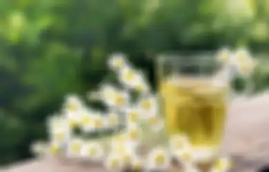 Herbal Antihistamin Alami Sebagai Obat Biduran Tradisional yang Ampuh