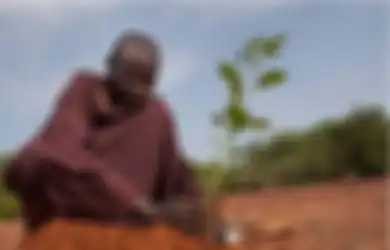 Sempat Diremehkan hingga Berhasil Kalahkan Ilmuwan, Inilah Pria yang Berhasil Hijaukan Gurun Afrika Barat Selama 30 Tahun!