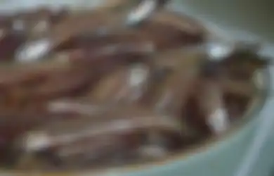 Harganya Murah Meriah, Ternyata Ikan Teri Masuk Dalam Daftar 5 Makanan Pendongkrak Kecerdasan Otak Lho