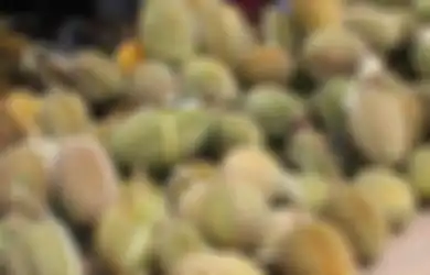 Hidung Keluar Darah, Sopir Angkot Tewas karena Makan Durian Terlalu Banyak: Bahayakah Makan Durian Terlalu Banyak?