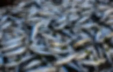 Penyuka Ikan Wajib Hati-Hati! 12 Ikan Ini Paling Banyak Terkontaminasi Pencemaran, Jangan Coba-coba Memakannya