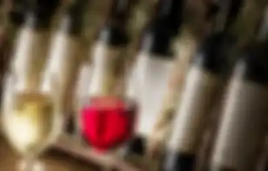 Dikenal Memabukkan, Alkohol Ternyata Mampu Membuat Otak Belajar dan Mengingat Lebih Baik