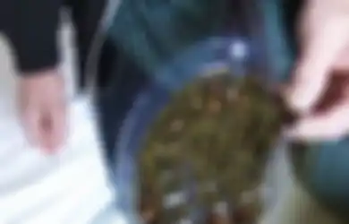 Pemeran Si Doel The Movie Ini Terpaksa Jalani Operasi dan Tak Lagi Miliki Empedu, Ternyata Kebiasaan Buruk Ini Bisa Bikin Tubuh Dipenuhi Ribuan Batu Empedu, Begini Penjelasannya!